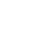 zzwin icon